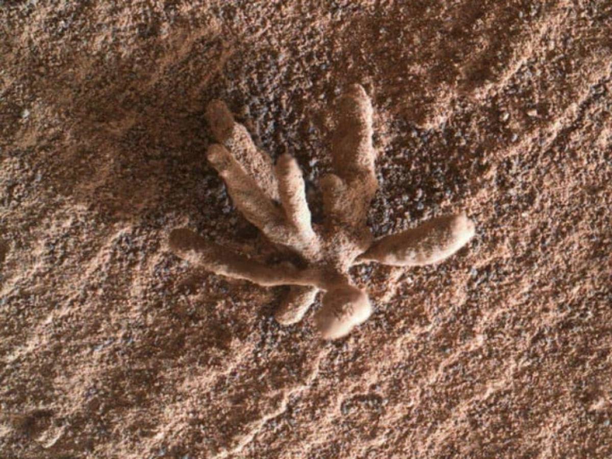 Curiosity descubre una flor de cristal sobre la superficie de Marte
