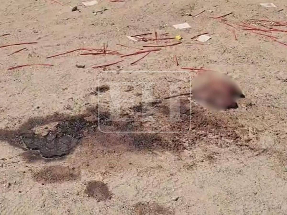 Restos de cerebro en finca de Trujillo evidencian la brutalidad con que se cometió el crimen