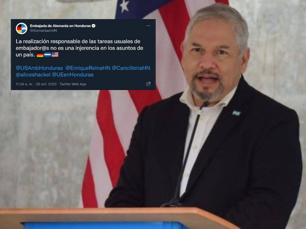 Embajada de Alemania envía mensaje al canciller Reina: “Tareas de los embajadores no son injerencia en un país”
