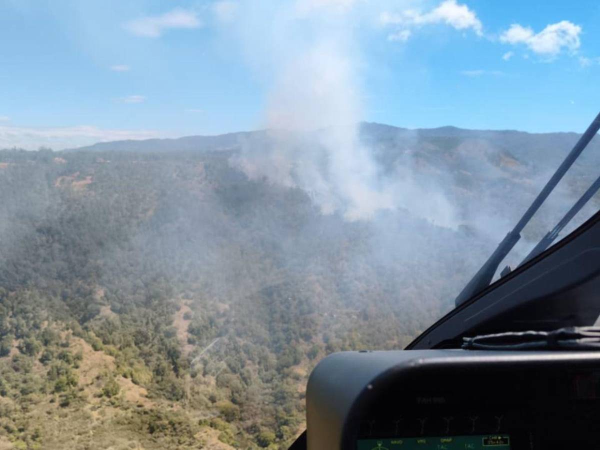 FF AA combaten siete incendios forestales en distintas zonas del país
