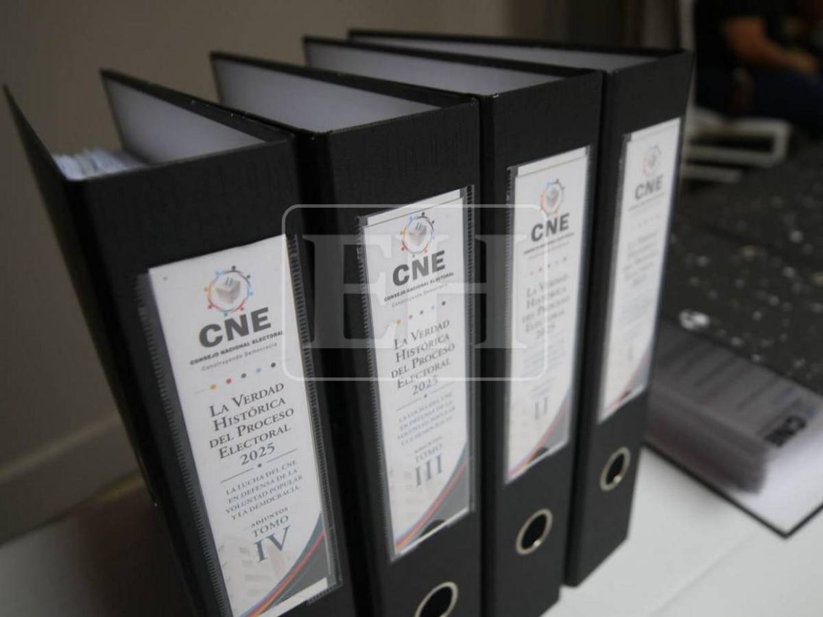 Cinco escenarios: Así revelaron consejeras los momentos críticos que enfrentó el CNE