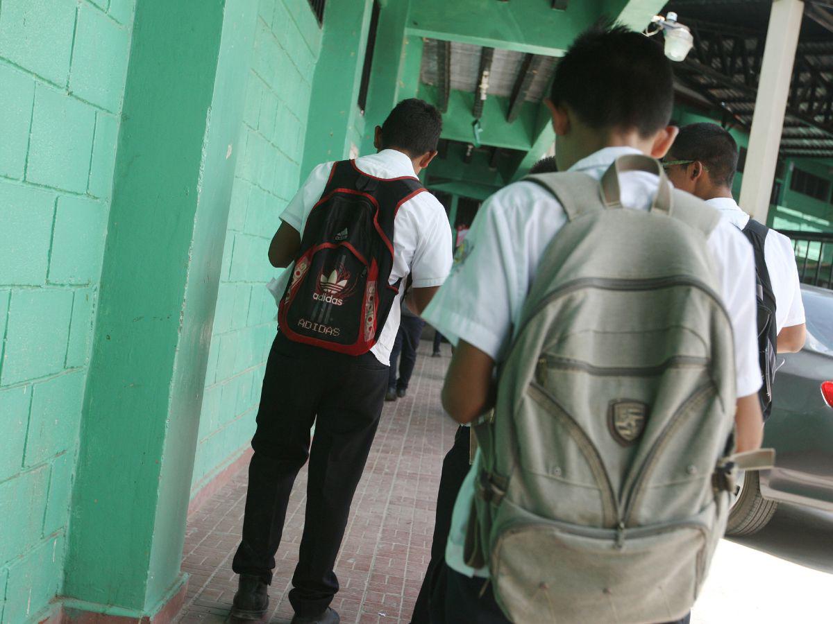 Más de 95,000 jóvenes en zonas rurales desertan en el nivel educativo básico