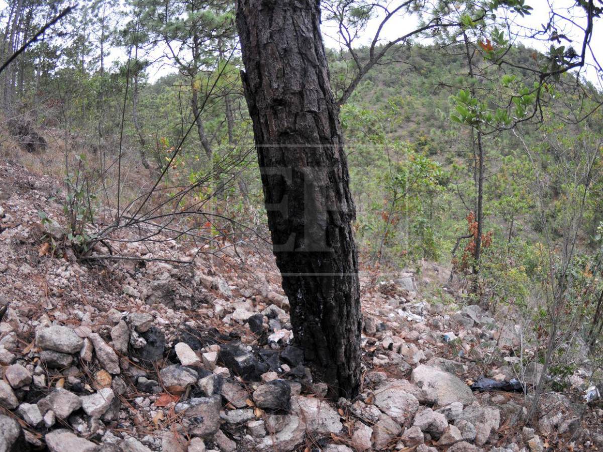 El Cimarrón: Los citaron para una “carneada” y terminaron torturados y asesinados por una deuda de drogas