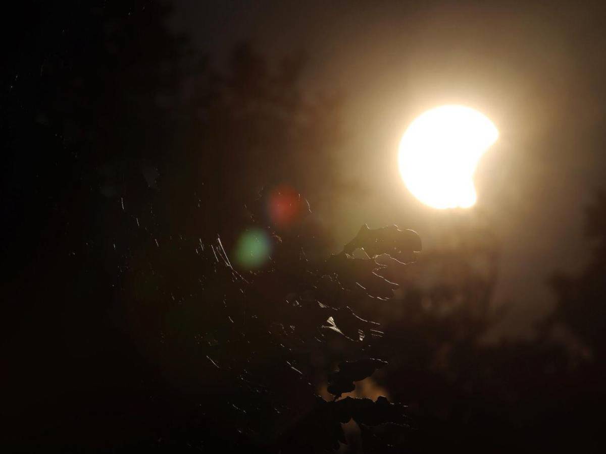En fotos: el cielo de Portugal se oscurece y deja ver el espectáculo del eclipse solar