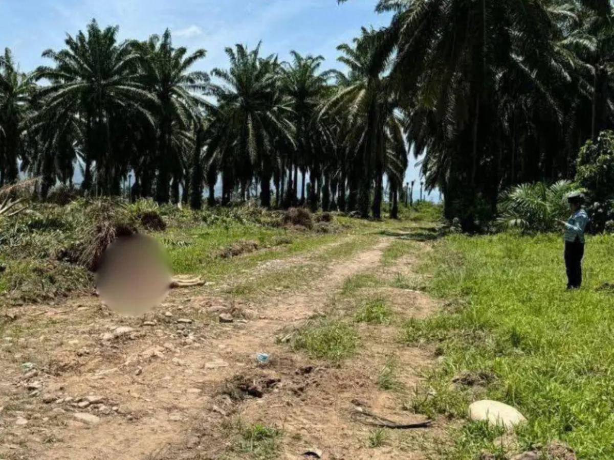 “Correte pué”: así le perdonaron la vida a joven en masacre en Rigores, Trujillo
