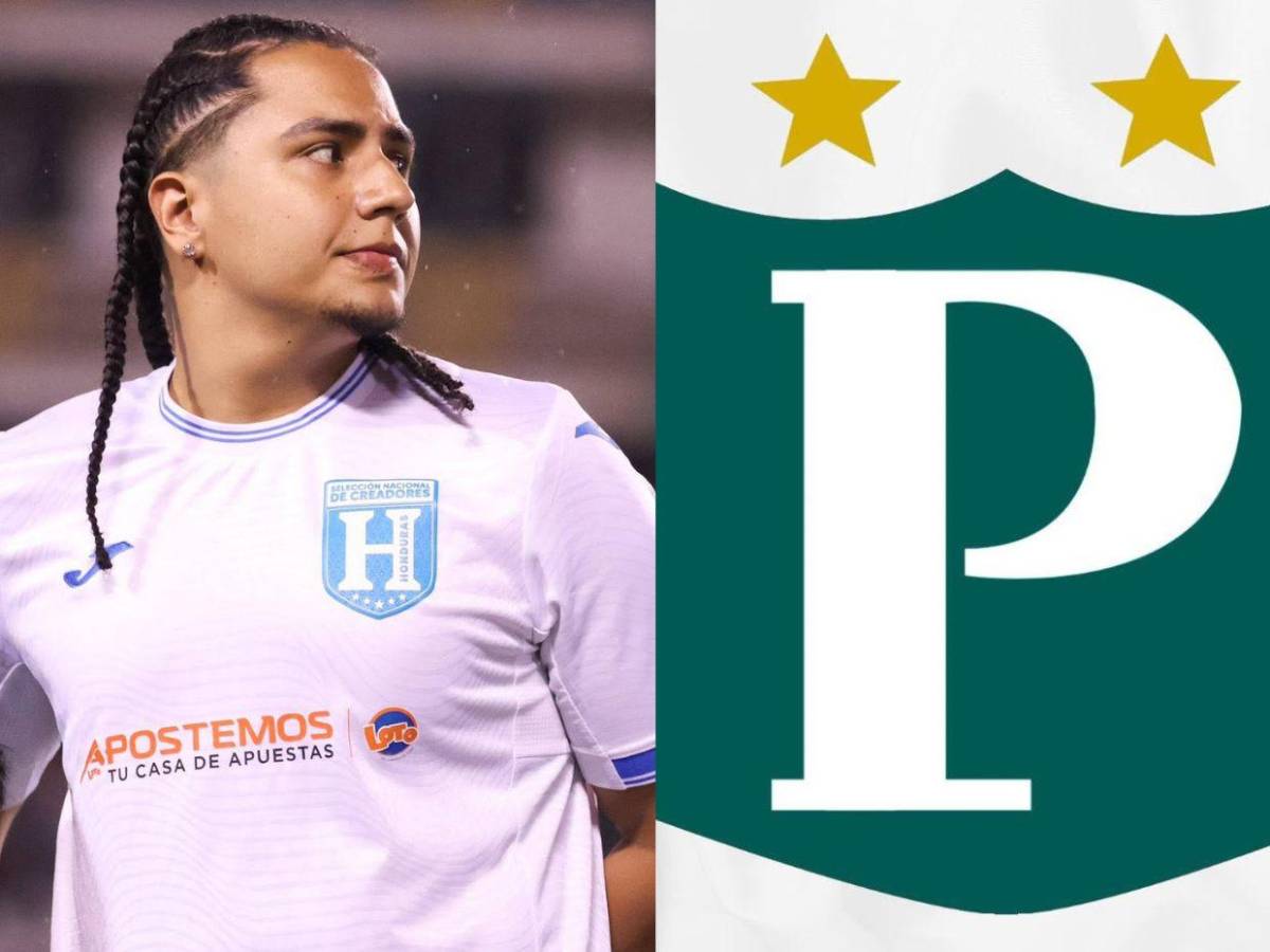 ¡Confirmado! Este es el equipo de la Liga Nacional en el que jugará Davis Flow