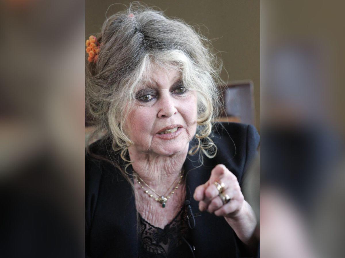 Antes y después de Brigitte Bardot: del ícono del cine a defensora de los animales