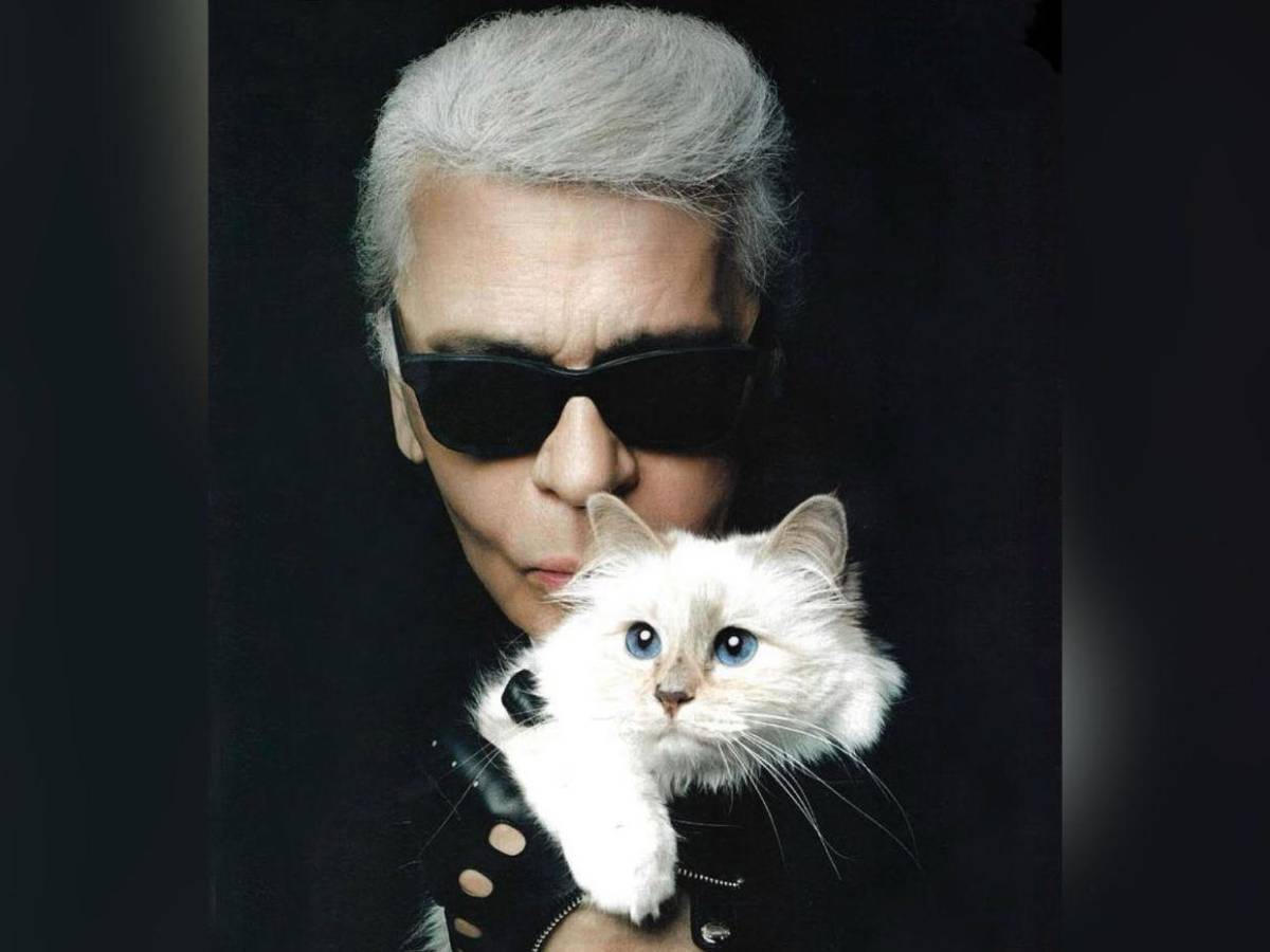 Choupette, la gata de Karl Lagerfeld, aún no recibe su millonaria herencia