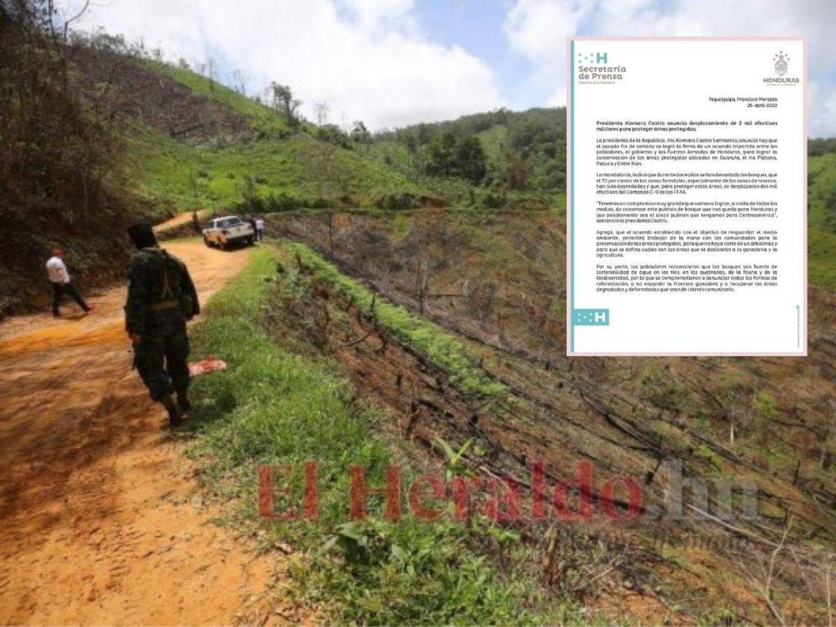 Tras denuncia de carretera ilegal, gobierno desplazará dos mil militares a resguardar Biósfera del Río Plátano