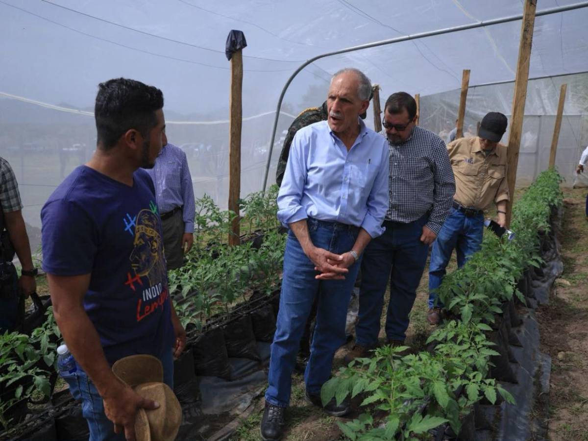 ¿Quiénes podrán acceder al nuevo proyecto agrícola de L455 millones anunciado por Nasry Asfura?