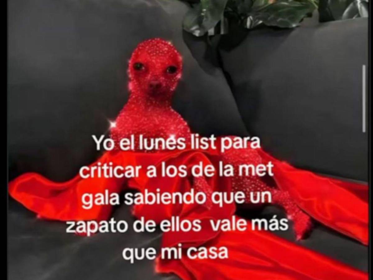 Los divertidos memes que dejó la Met Gala 2025