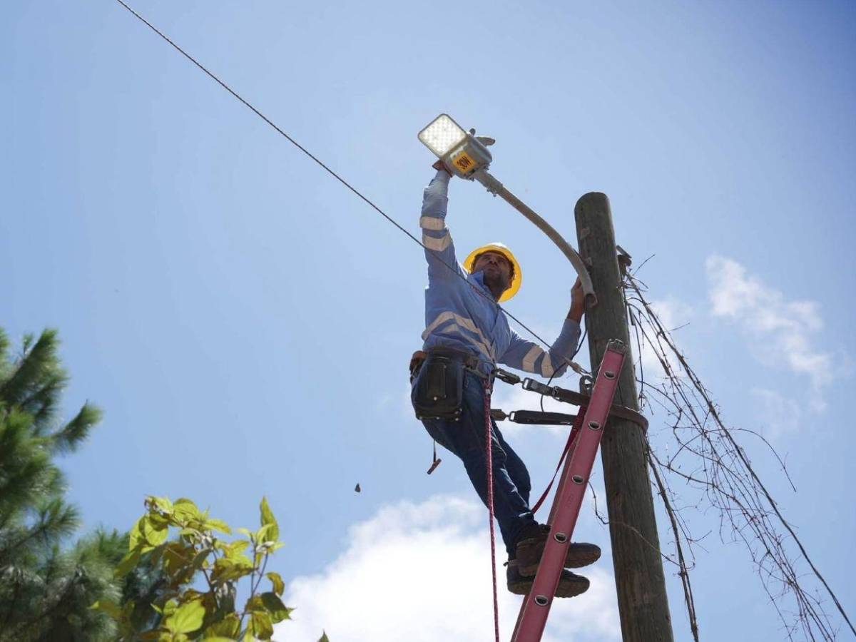 ¿Qué diputados no votaron para aprobar la Ley de Justicia Energética?