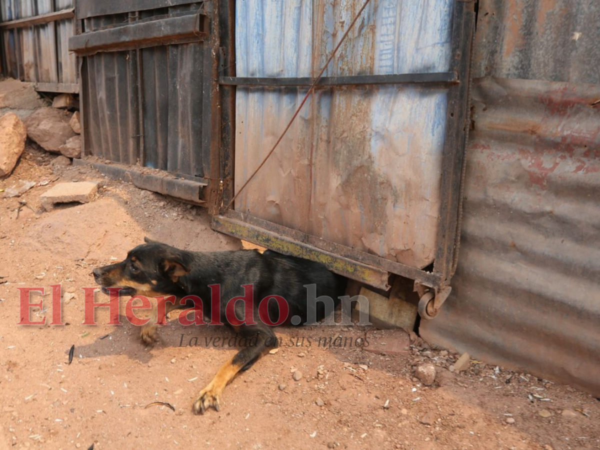 “Apagaba una parte, pero se prendía otra”: Pavoroso incendio deja en la calle a una familia en la capital