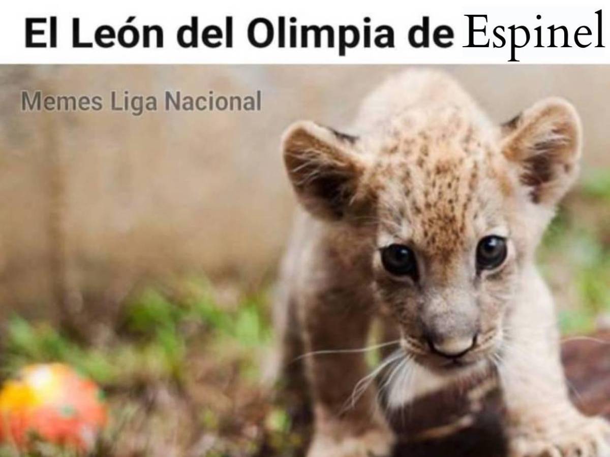 Memes que dejó triunfo de Real España sobre el Olimpia en el Morazán