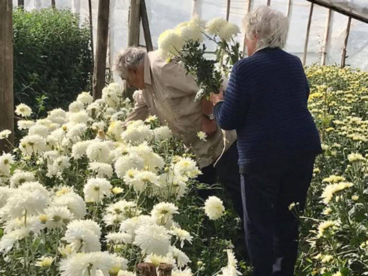 Exguerrillero, presidente y símbolo mundial: así fue la vida de Pepe Mujica