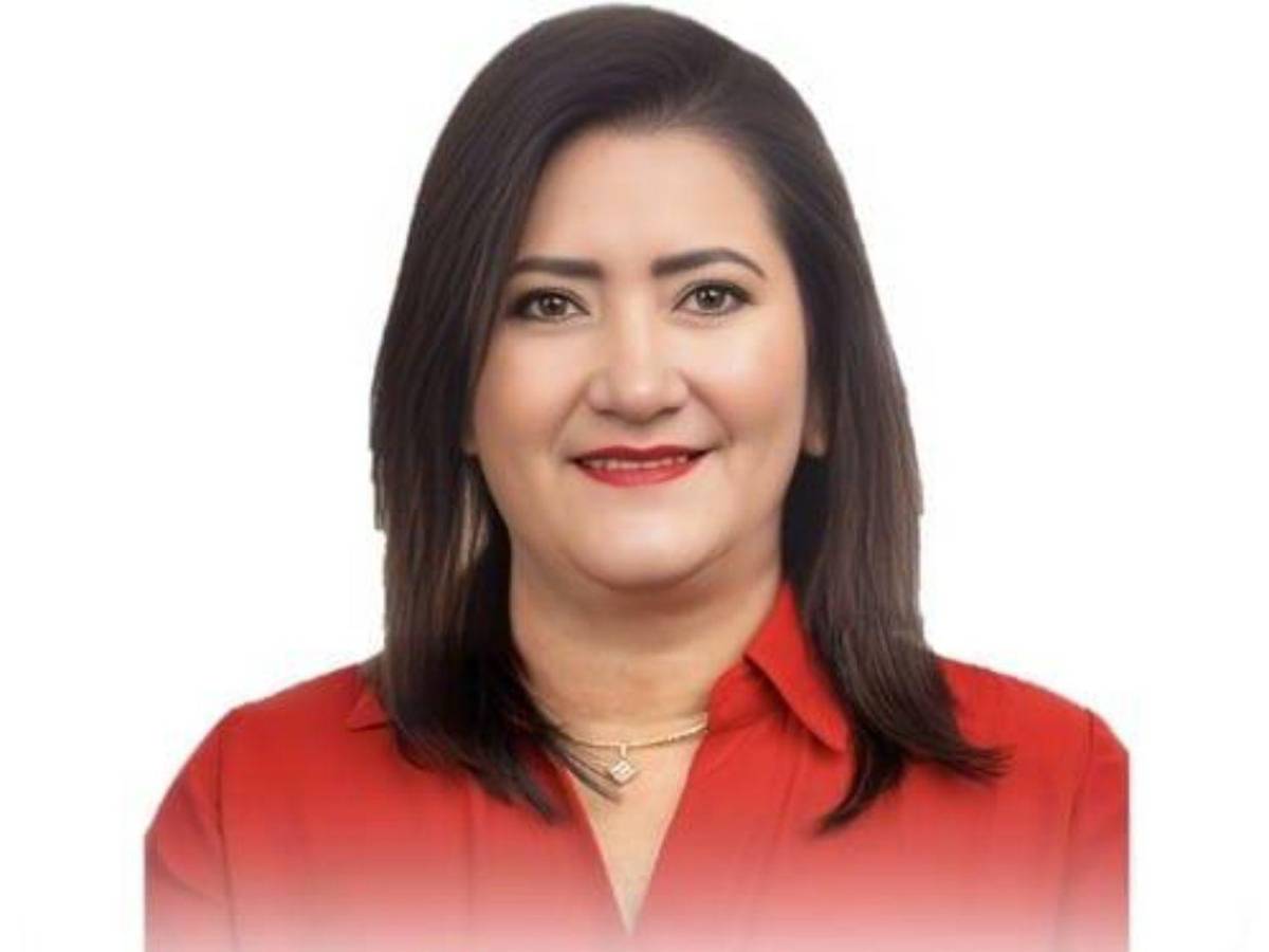 De los 60 a los 73: candidatos a diputados más veteranos que estarían el Congreso Nacional