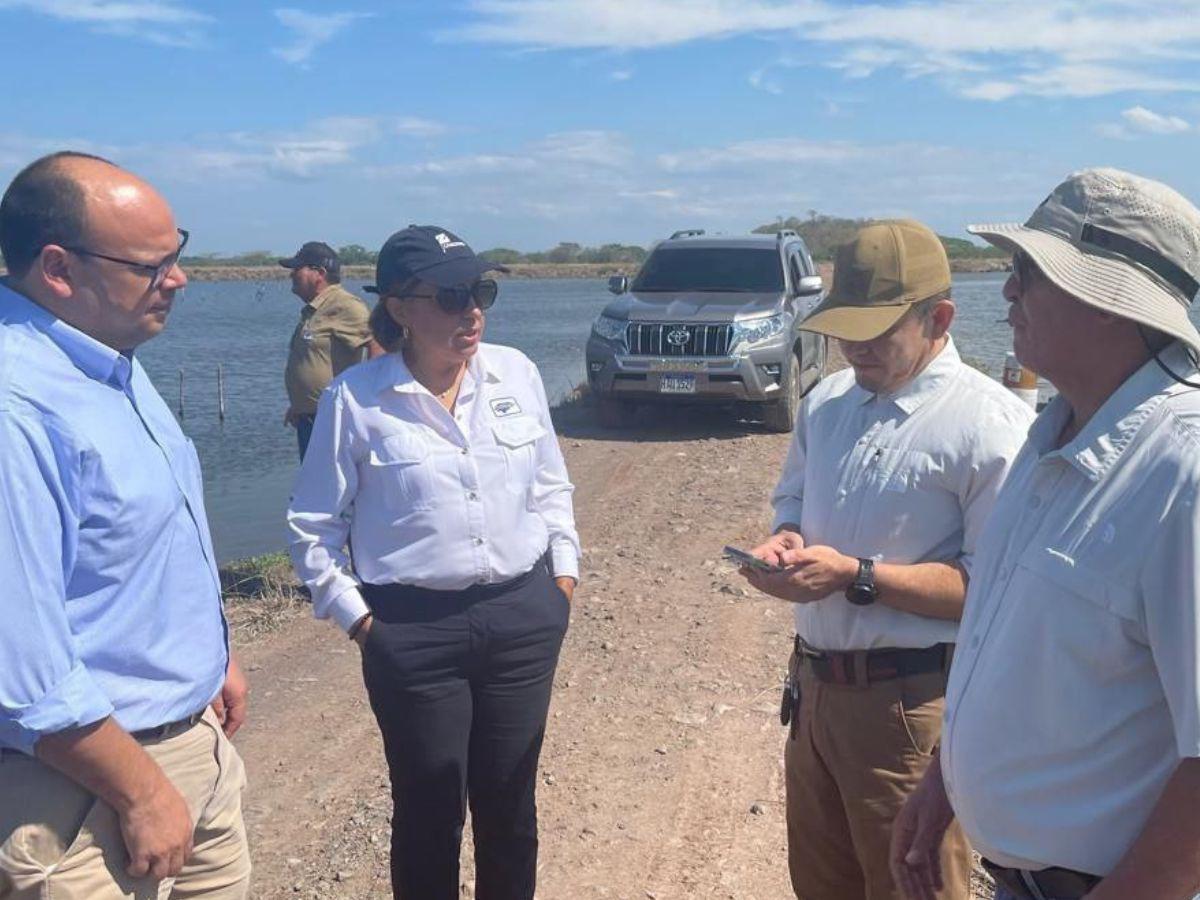 Cohep: Se debe poner mucha atención al problema del camarón