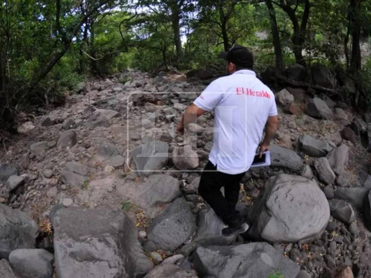 No se salvó ni un cultivo, ahora peligra el agua para consumo: el rastro de la sequía en el Corredor Seco