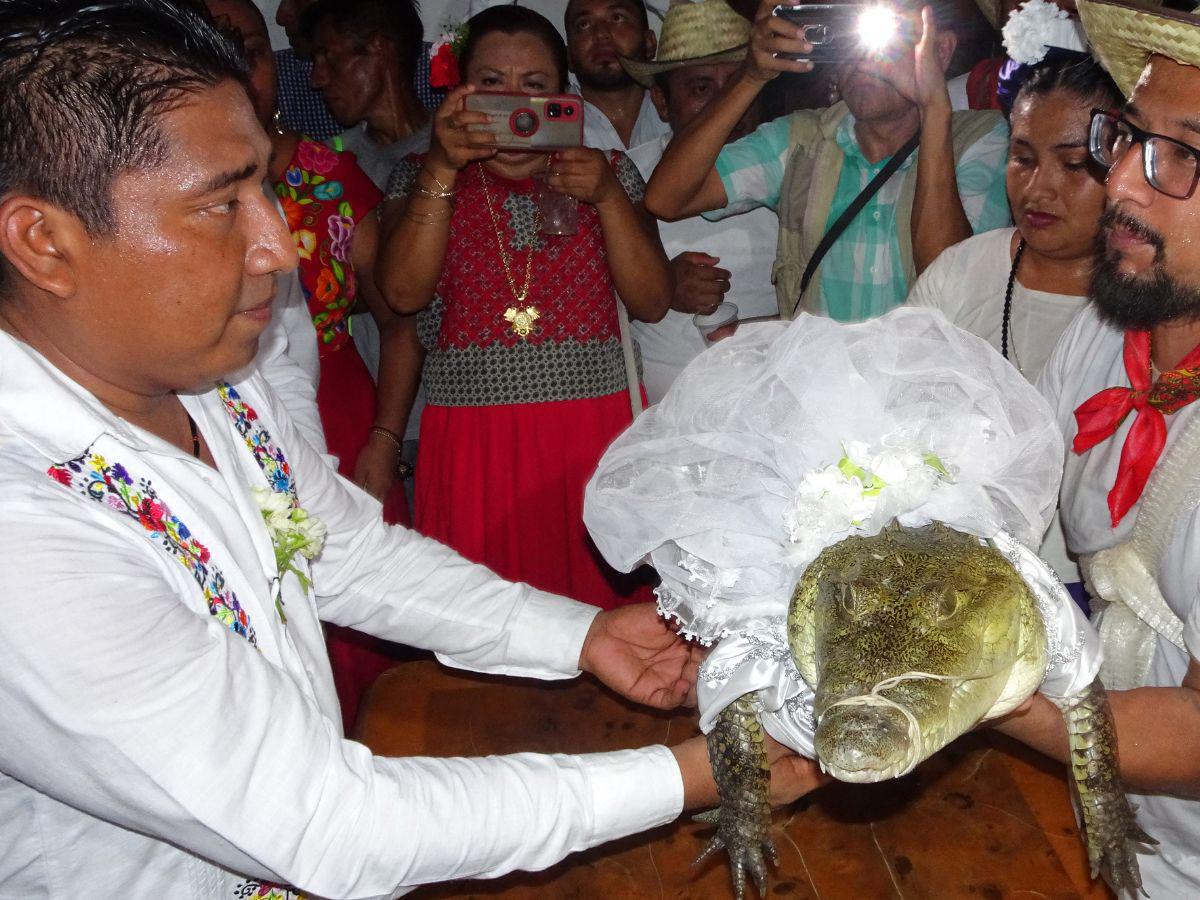 Alcalde mexicano se casa con un caimán en un rito tradicional