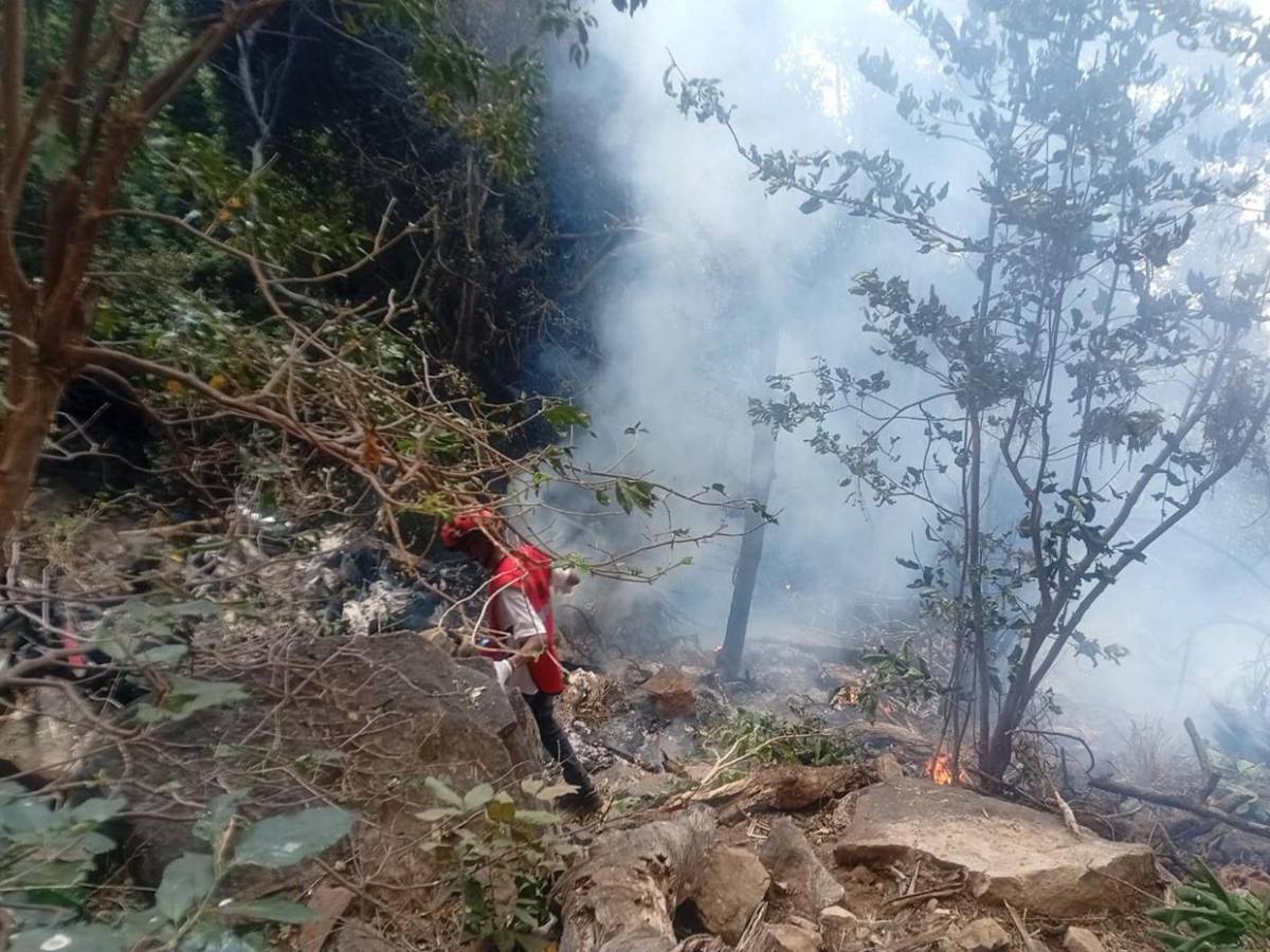 Imposible recuperar los cuerpos: la tragedia aérea donde murió gerente de Telemundo y un alto funcionario de Ecuador
