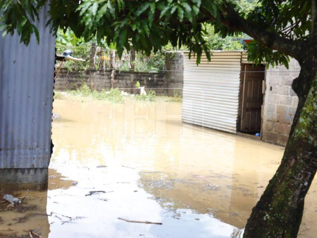 Casas llenas de lodo: ciudadanos en Santa Cruz de Yojoa hacen limpieza tras inundaciones