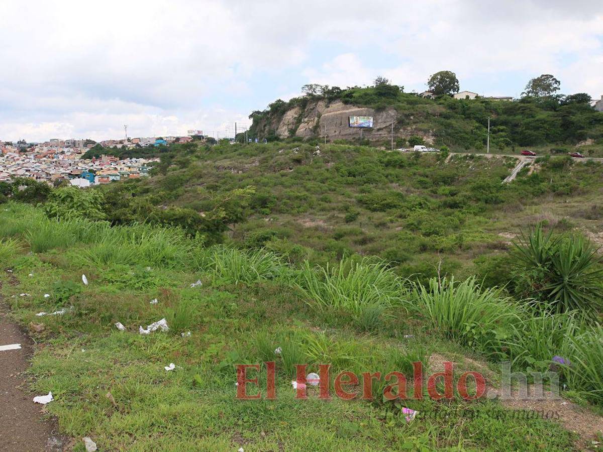 Mercado Perisur intenta resurgir del olvido para echar andar el proyecto