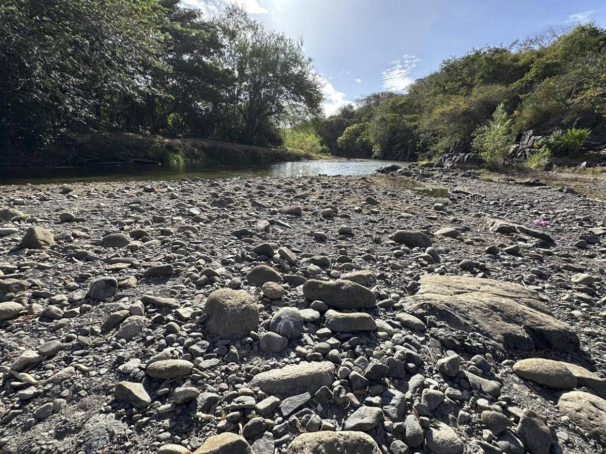 Zona Sur clama por lluvias en septiembre para salvar última cosecha del año