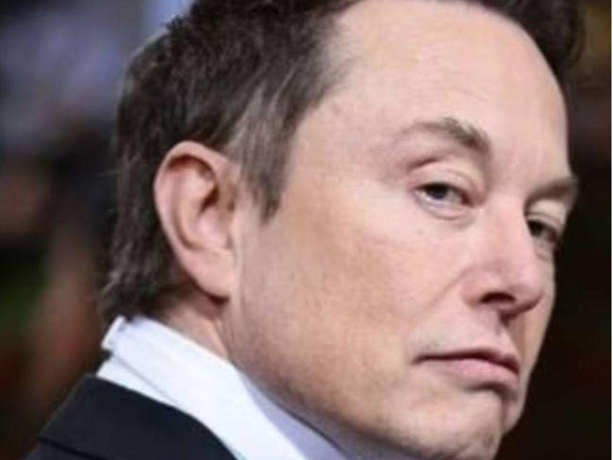 ¿Cómo logró ser ciudadano estadounidense Elon Musk?