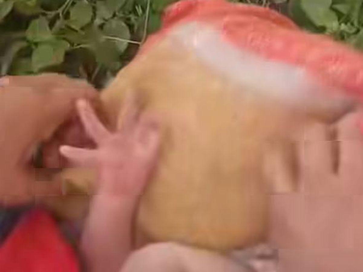 Envuelto en cobijas y dentro de una bolsa negra: así fue abandonado un bebé en Lepaterique