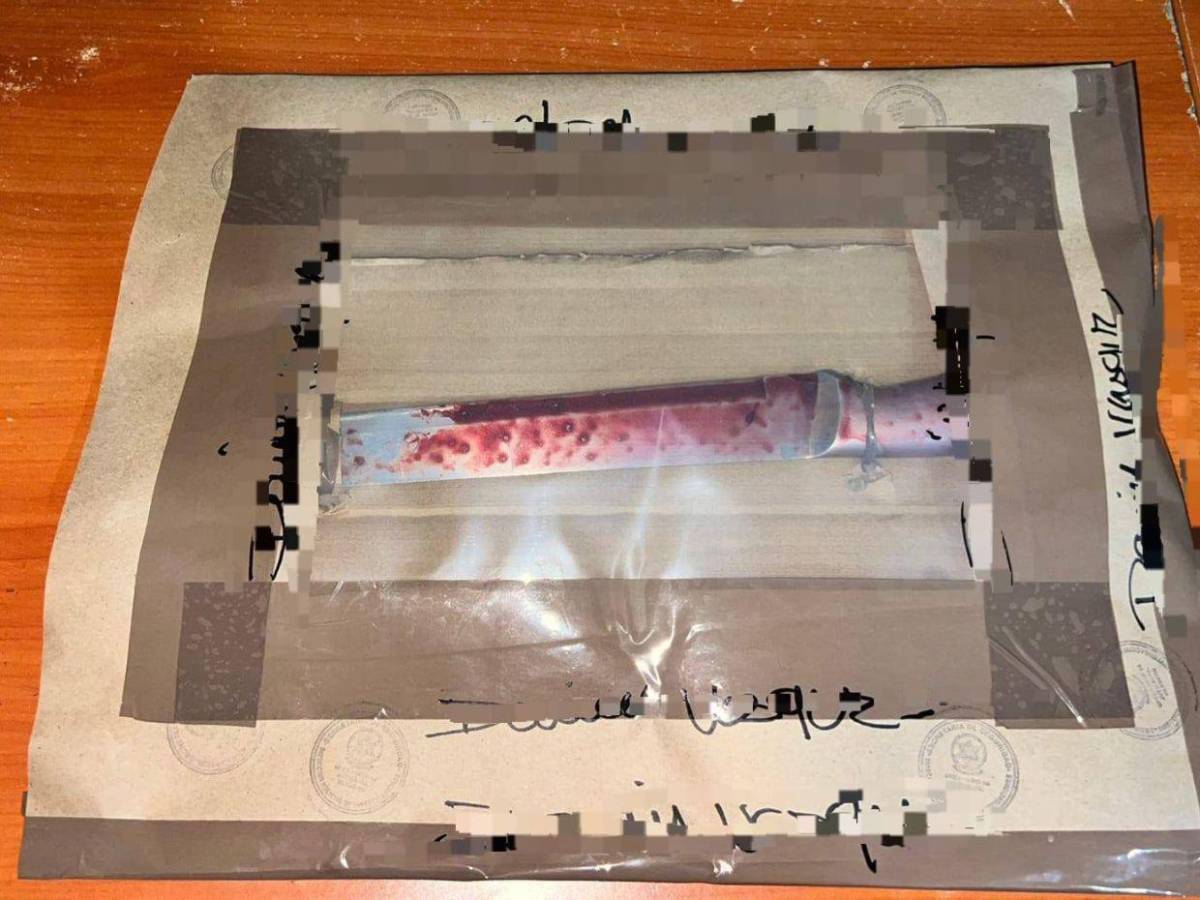 Rosa Cárcamo fue acuchillada por su sobrino tras robarle el dinero de su negocio; era madre