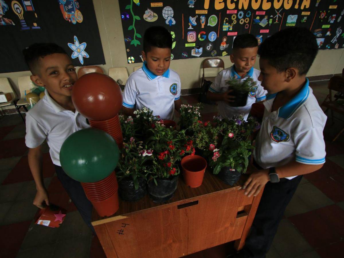 Plantas, reciclaje y un fiel compromiso: Así finaliza la Semana 7 de EAA