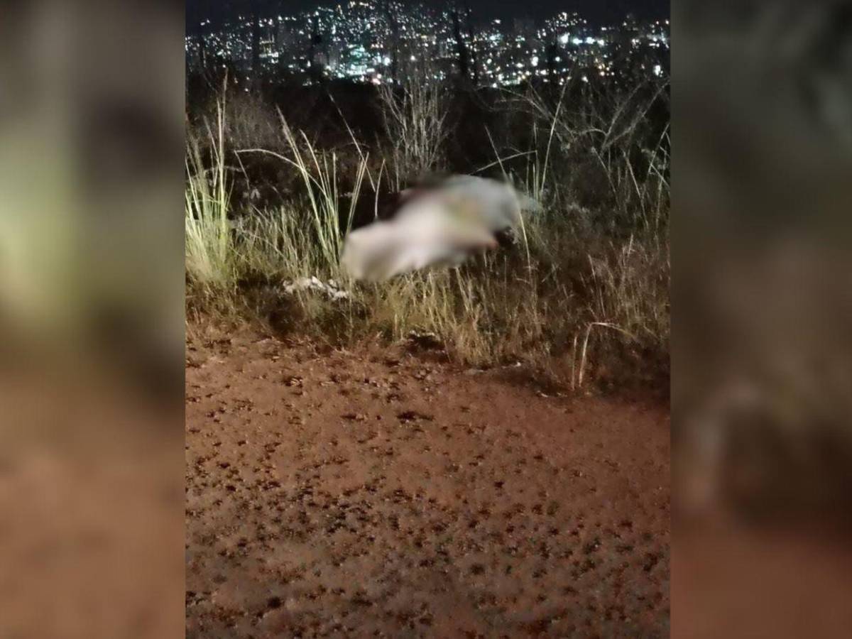 ¿Doctor Miguel Salgado era sobrino del ministro Ricardo Salgado? Esto confirmó el funcionario