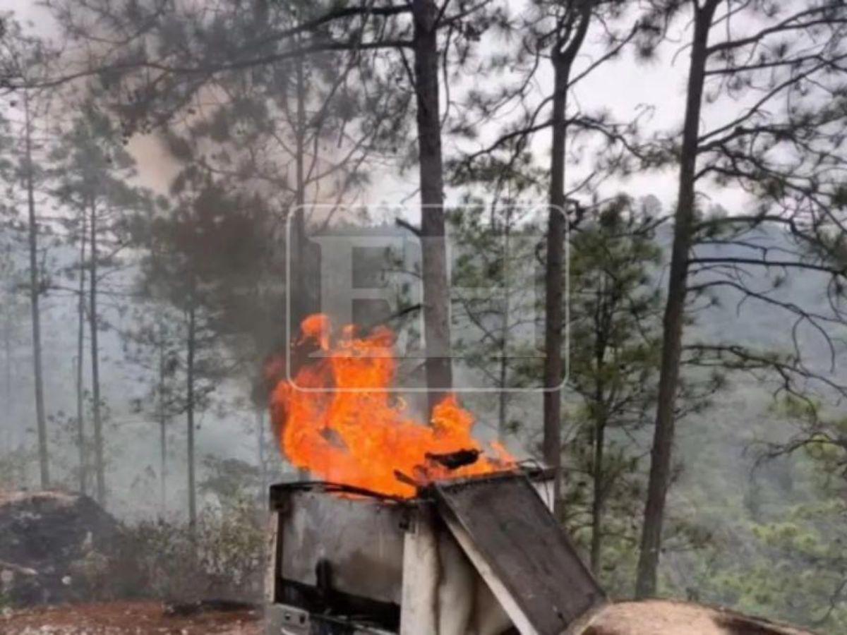 Fotos en celular de Axel Cerrato, mujer trans, habrían provocado triple crimen en El Cimarrón