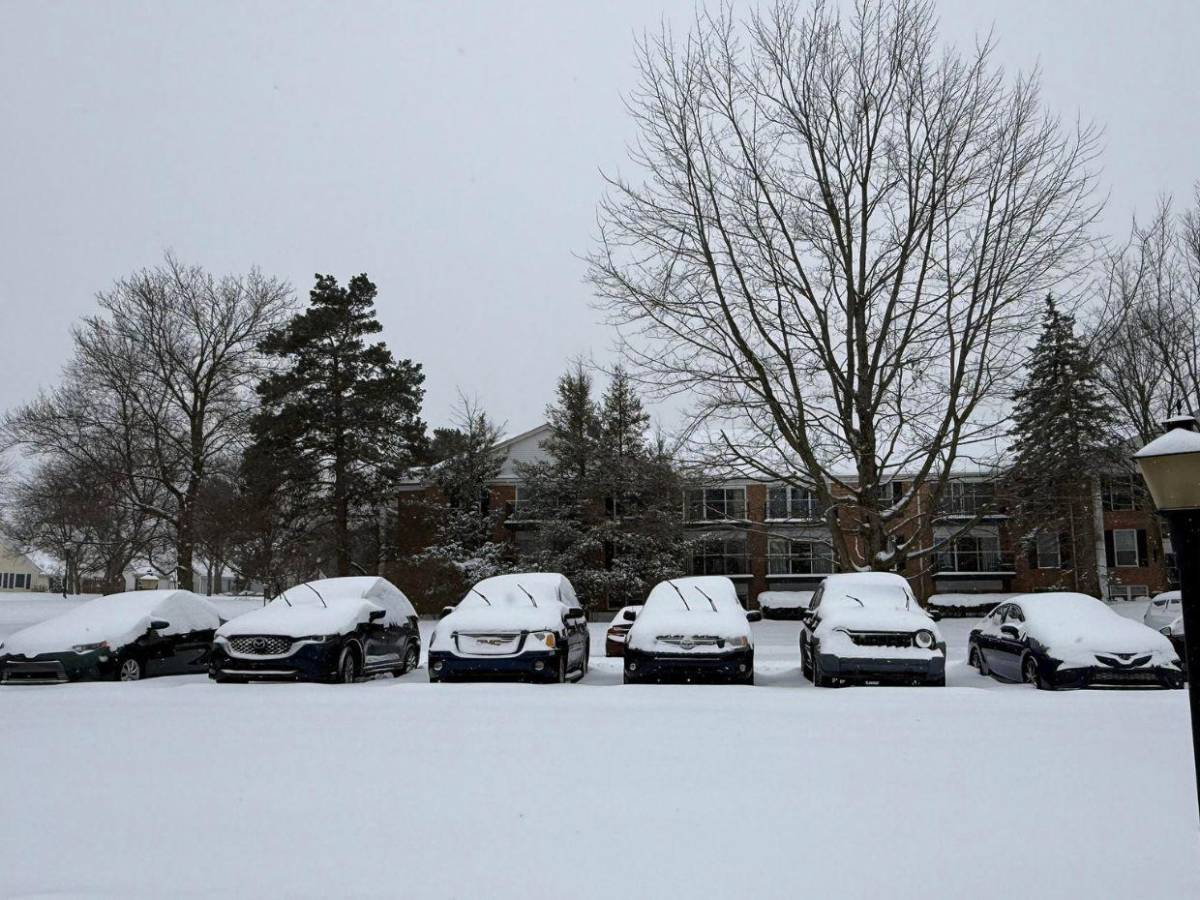 ¿Cuáles son los estados en alerta por la tormenta invernal en Estados Unidos?