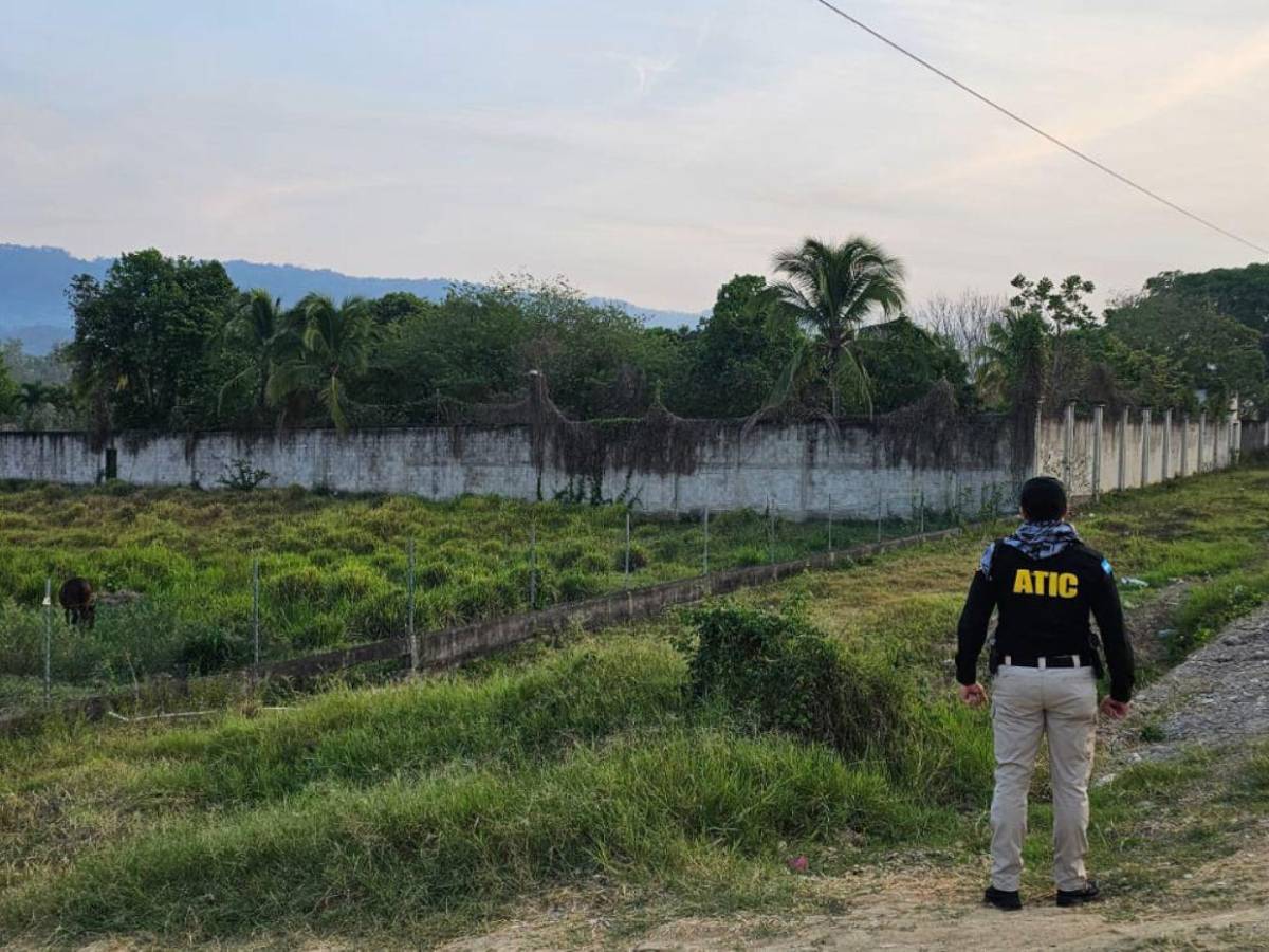 Iban a ser narcopistas: los bienes incautados vinculados a Magdaleno Meza