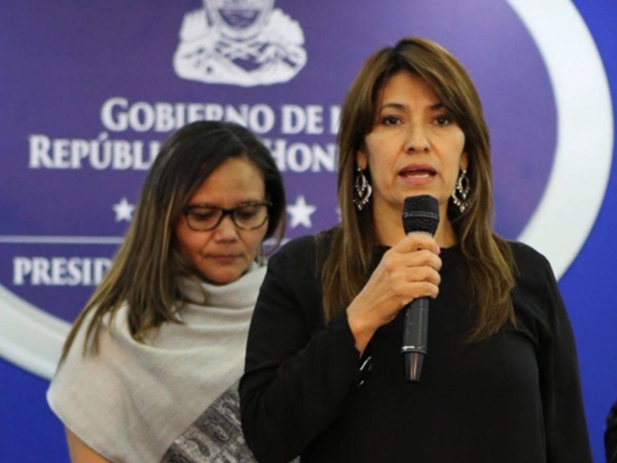 Alba Consuelo Flores: de ministra de Salud a imputada por el caso  hospitales móviles