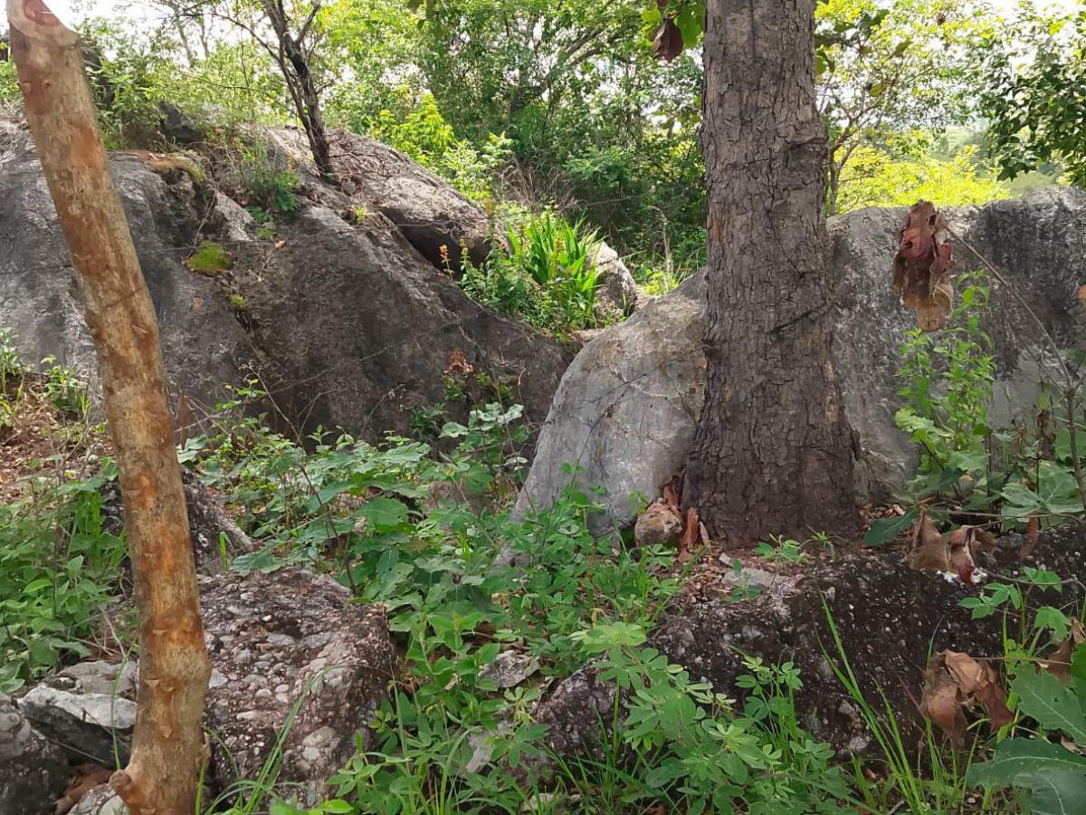Los detuvieron y luego los hallaron muertos: Cristofer y Walter estaban en estado de putrefacción