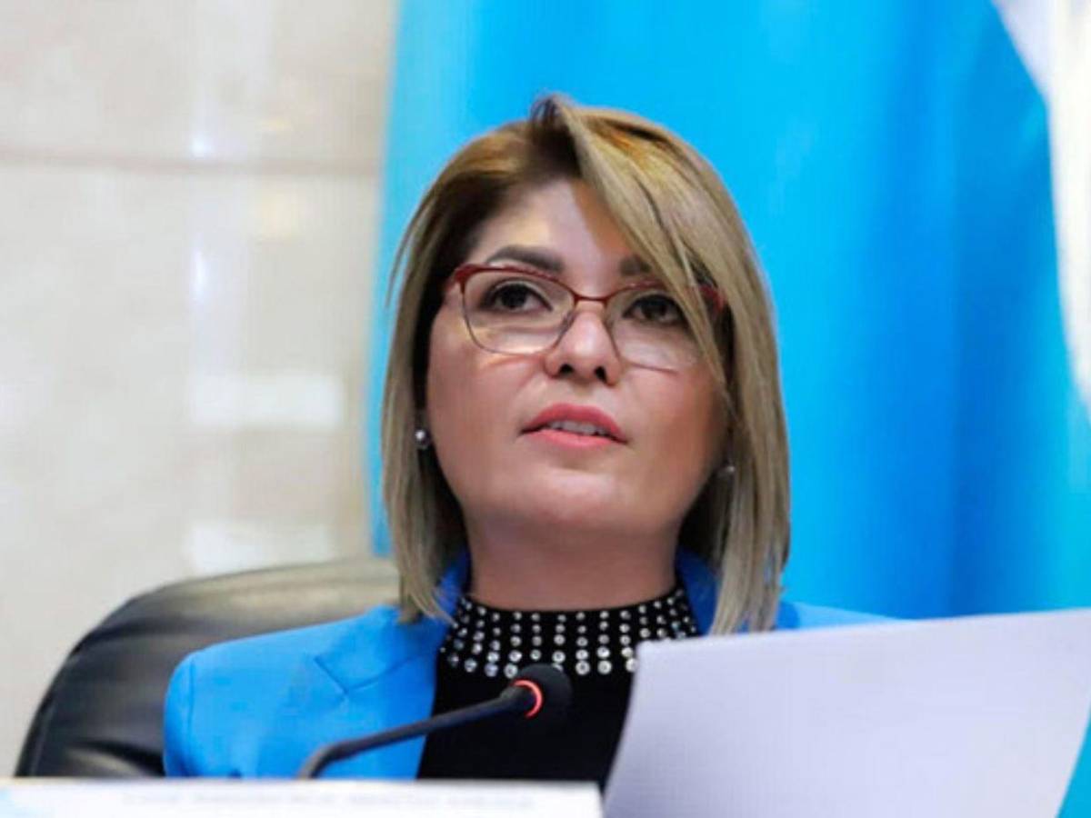 Iroshka, Tomás y hasta Godofredo: candidatos a diputados que estarían quedando en el CN