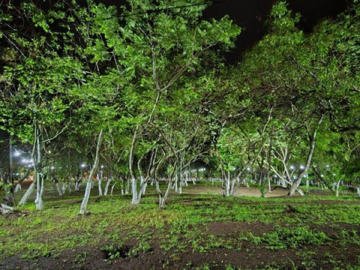 Así luce el Cerrito de la Felicidad tras los trabajos de recuperación en la colonia Kennedy