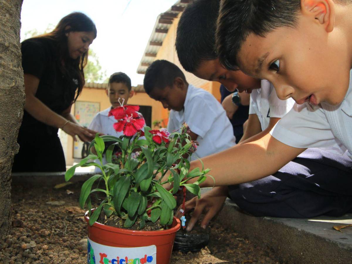Plantas, reciclaje y un fiel compromiso: Así finaliza la Semana 7 de EAA