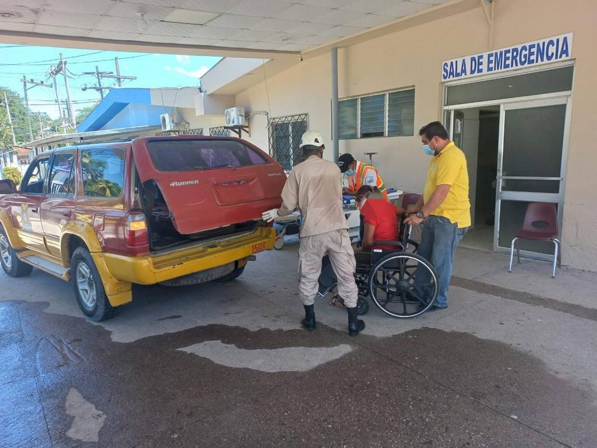 Un muerto y dos hospitalizados tras ataque de abejas en Santa Bárbara