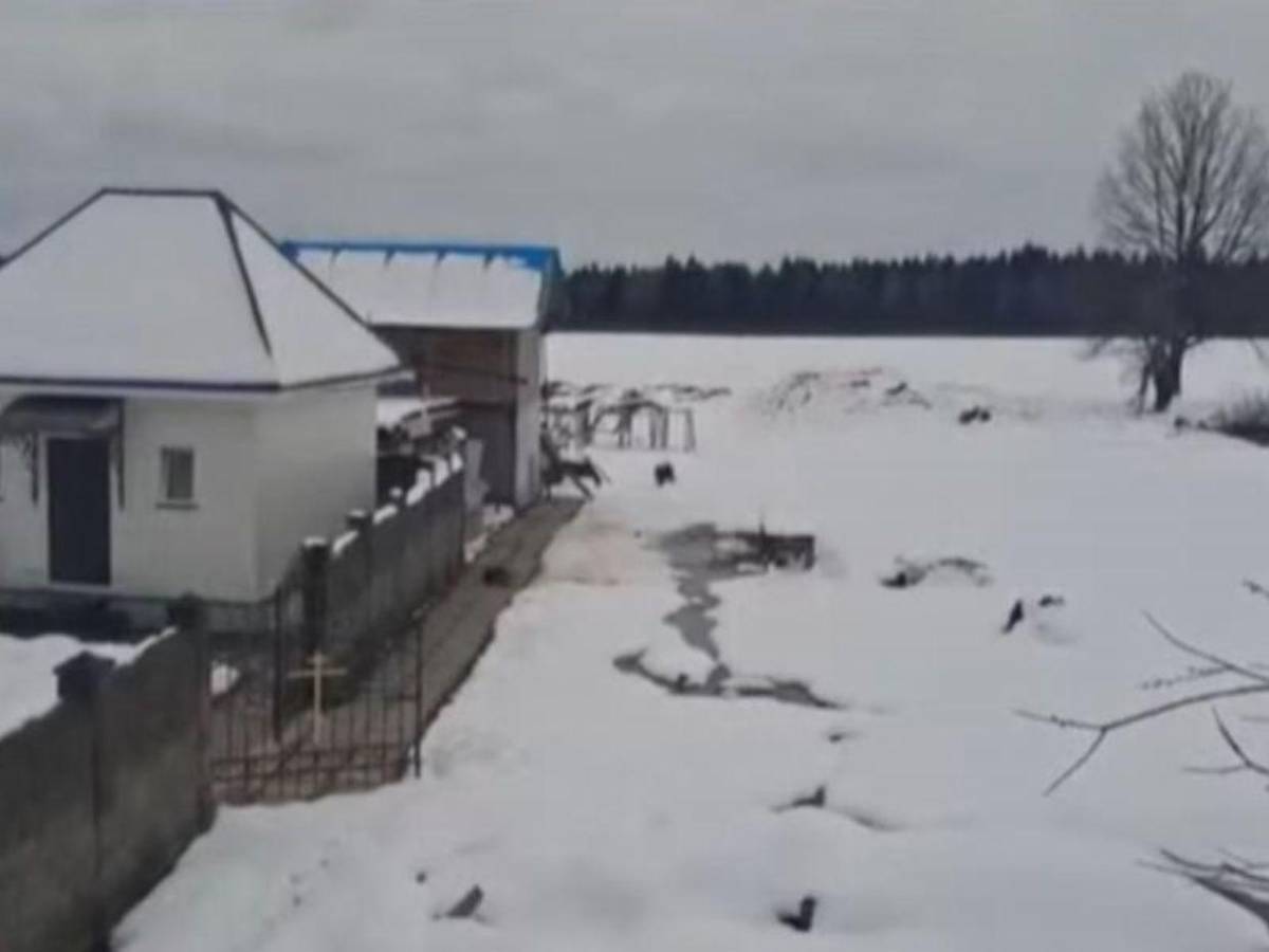 Escaparon por una ventana: hondureños narran horror al ser reclutados bajo engaños para pelear en guerra Rusia-Ucrania