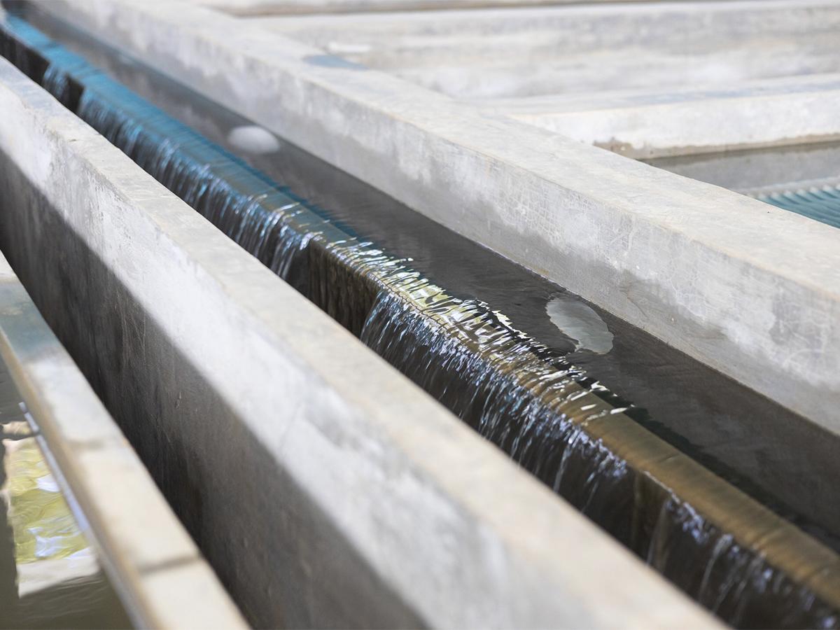 <i>La planta potabilizadora marca un hito en la búsqueda de soluciones eficaces para las comunidades vulnerables.</i>