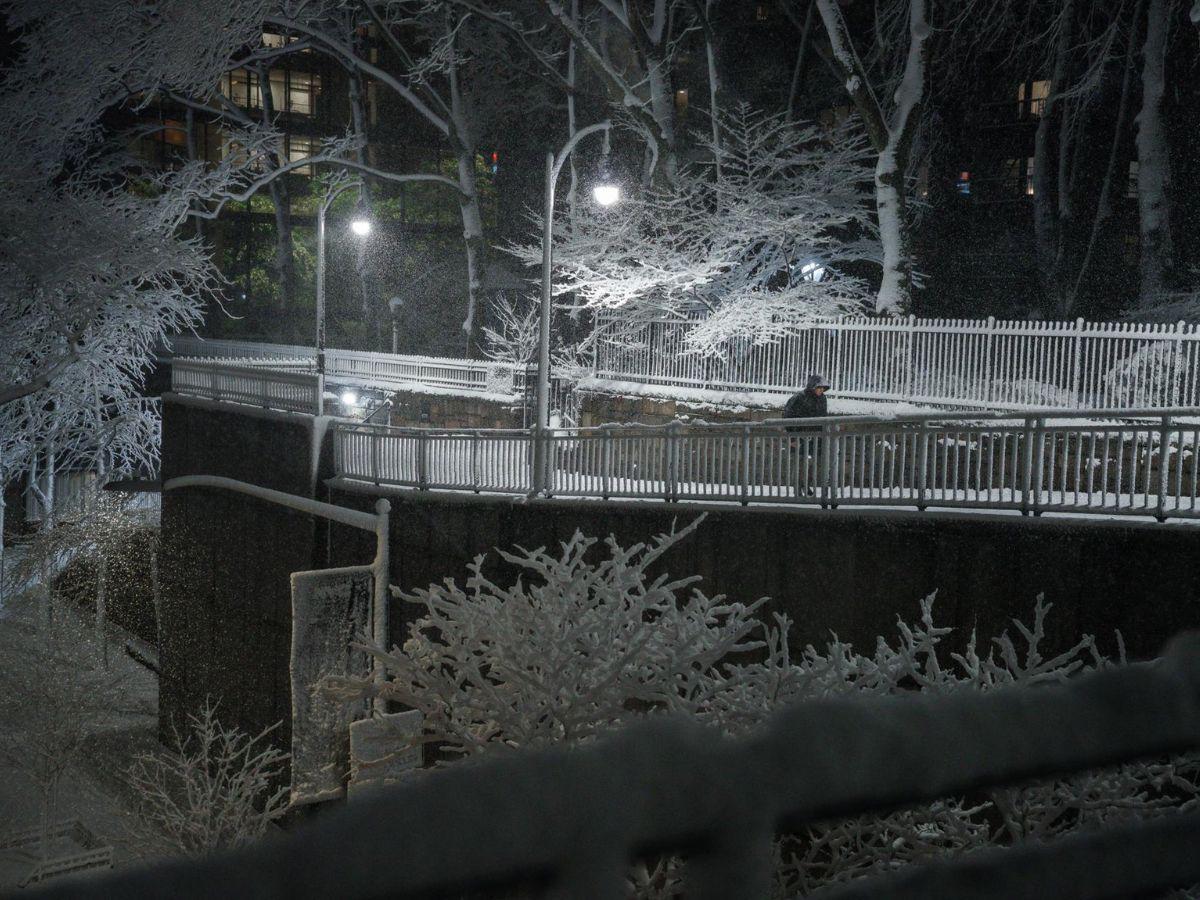 Histórica ventisca en Nueva York deja 30 cm de nieve y batalla en parques