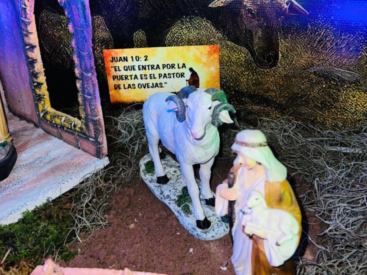 31 años de tradición: Nacimiento inspirado en El Buen Pastor abre sus puertas