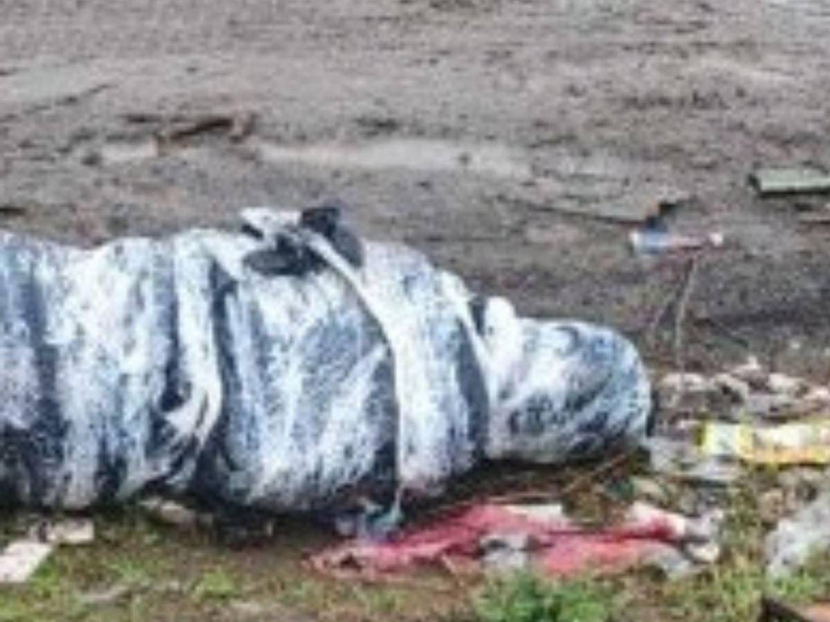 Hallan muerta a joven que tomó taxi por app en Ecuador: Cuidaba a su madre enferma