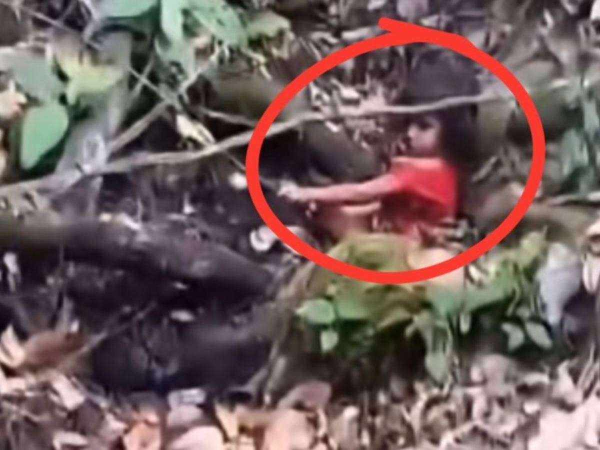 “No encontró el camino”: Revelan cómo desapareció la niña Reina en Sonaguera, Colón