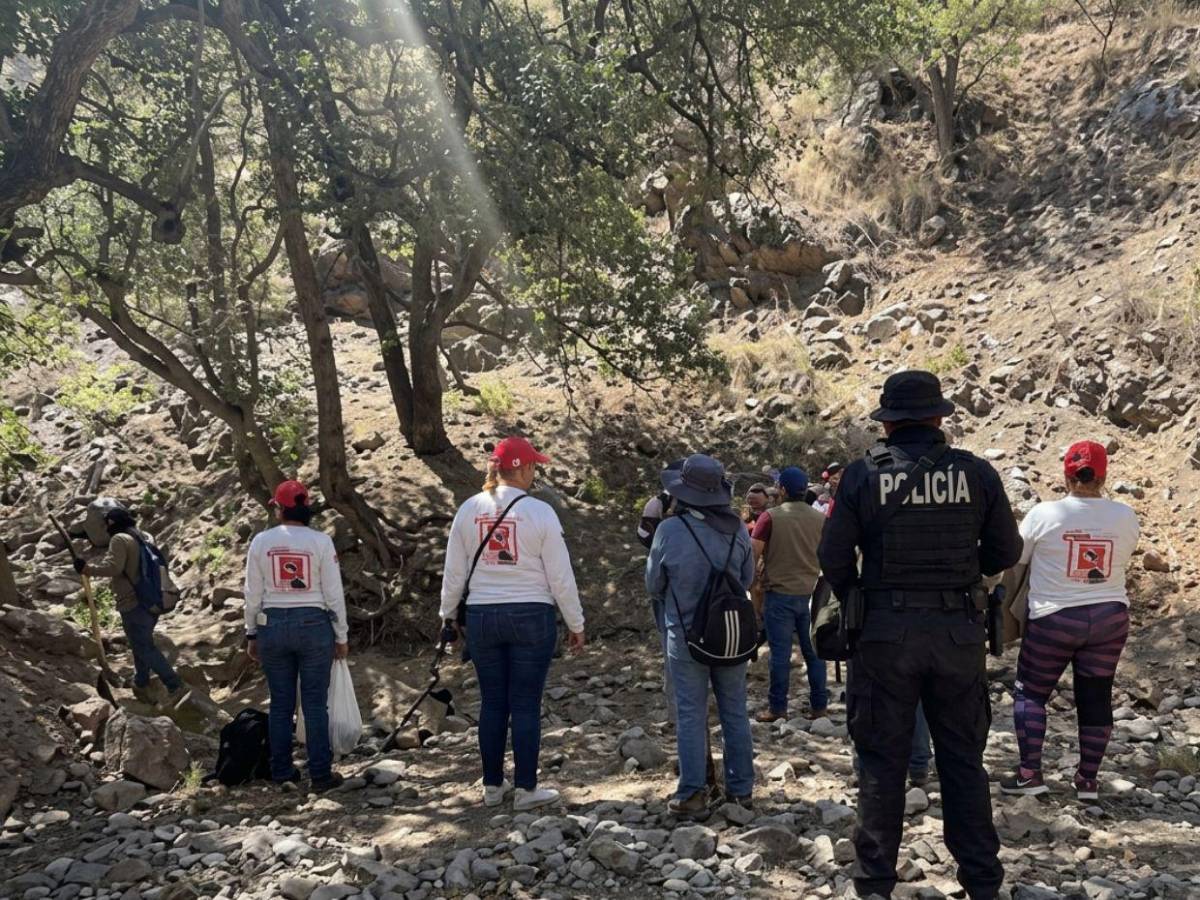 Voluntarios buscan en México a la madre de Savannah Guthrie tras pista anónima