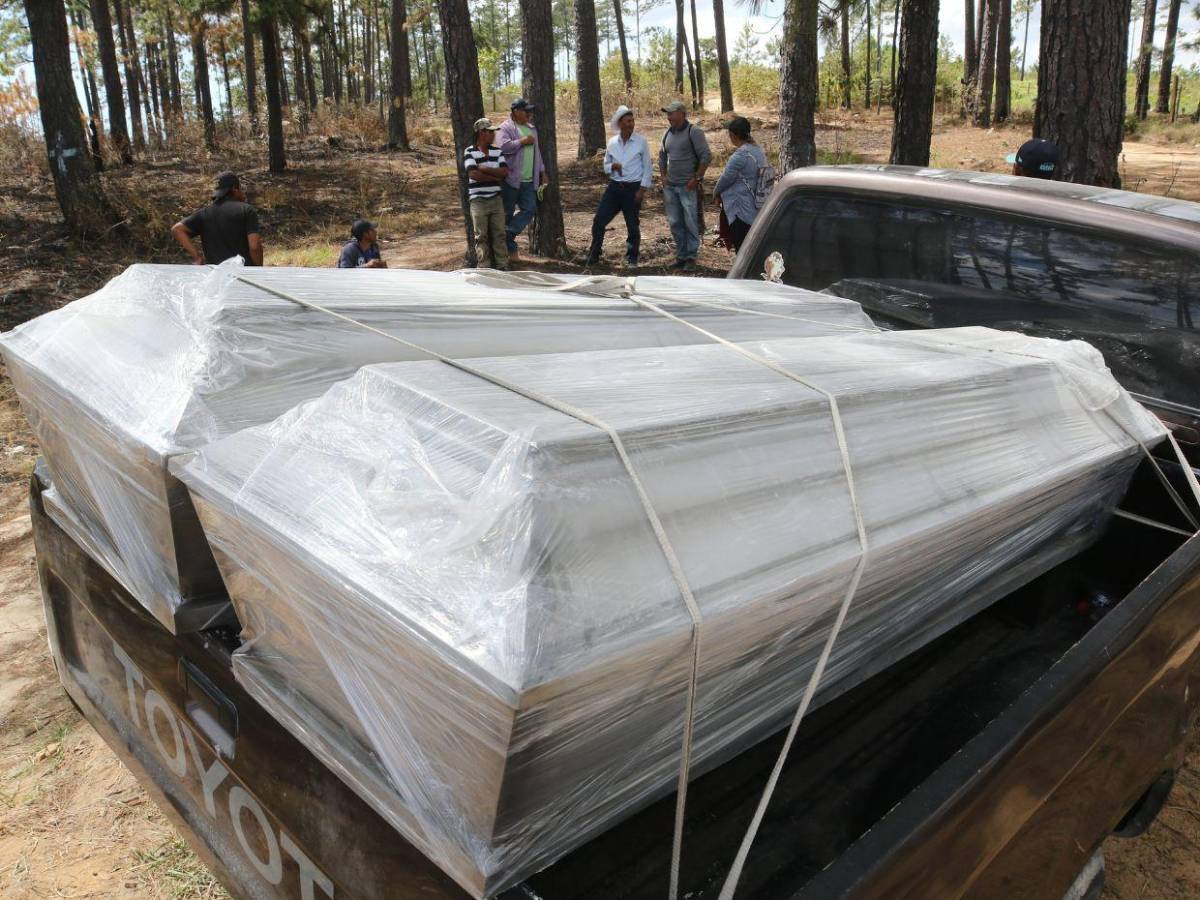 ICF encargó al ambientalista Juan Silva tomar fotos de los taladores antes ser asesinado