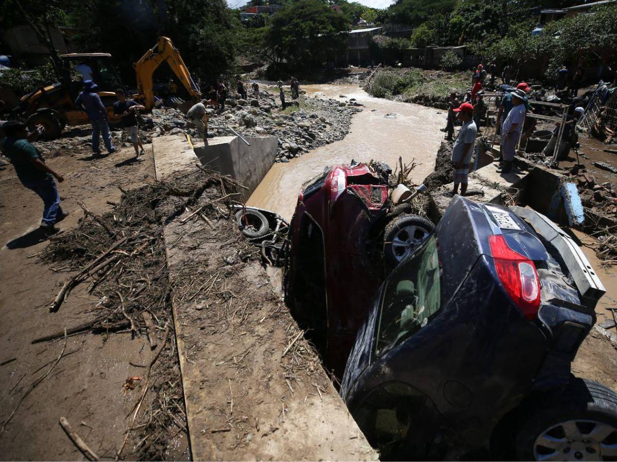 Las imágenes del 2025 de EL HERALDO